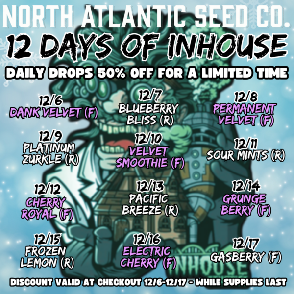 12 Days of In House Drop's promotional image