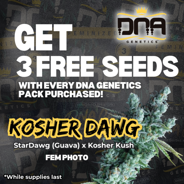 DNA Genetics's promotional image