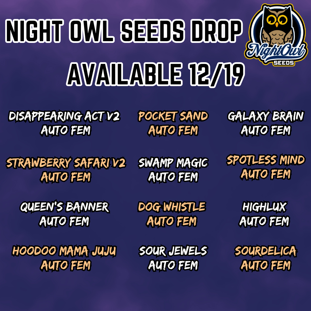 Night Owl Seeds cannabis seeds