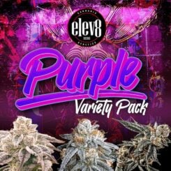 Elev8 Seeds > Purple Varity Pack