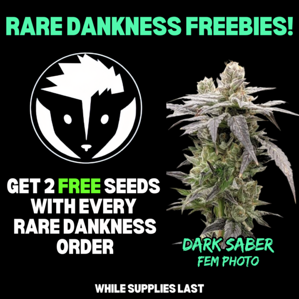 Rare Dankness's promotional image