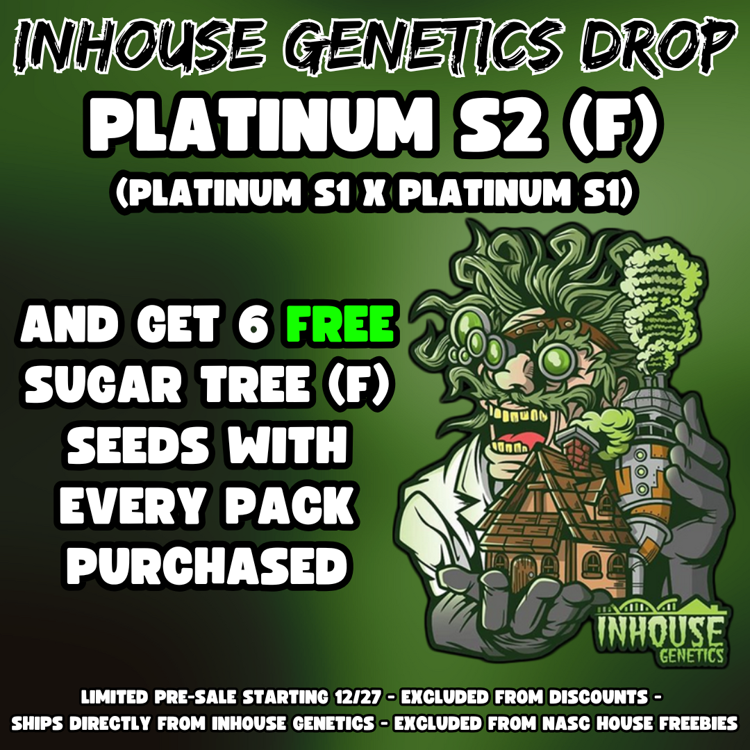 Platinum S2 cannabis seeds