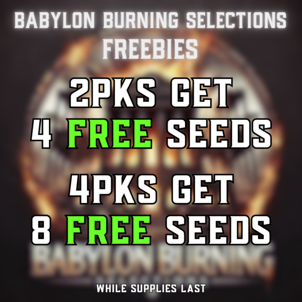 Babylon Burning Selections's logo or representative image