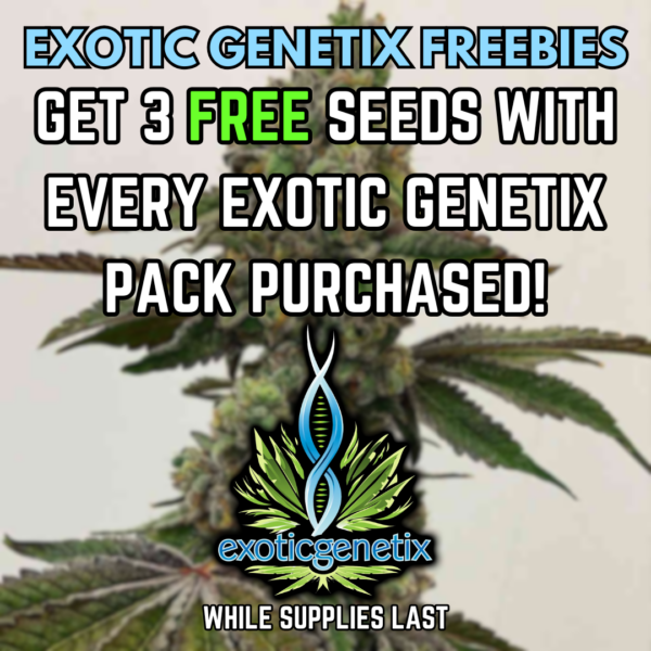 Exotic Genetix's promotional image