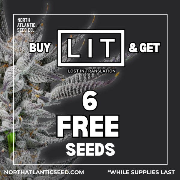 LIT Farms's promotional image