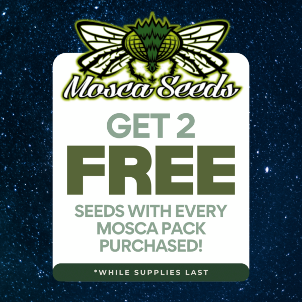 Mosca Seeds's promotional image