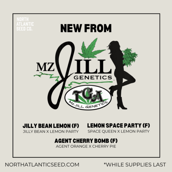 MZ Jill Genetics's promotional image