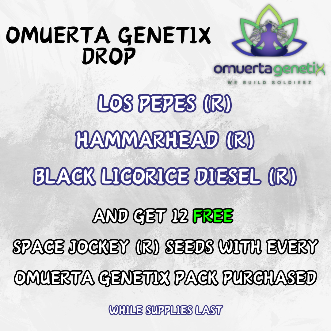 Omuerta Genetix cannabis seeds