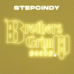 Brother's Grimm > StepCindy Tester