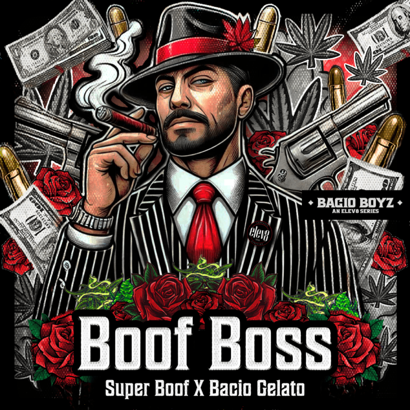 Boof Boss by Elev8 Seeds