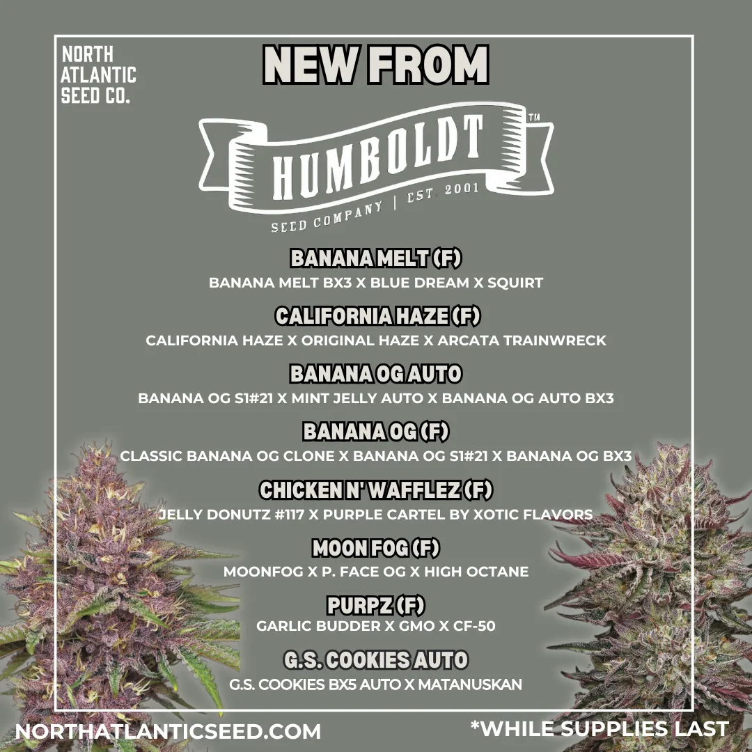 Humboldt Seed Company cannabis seeds