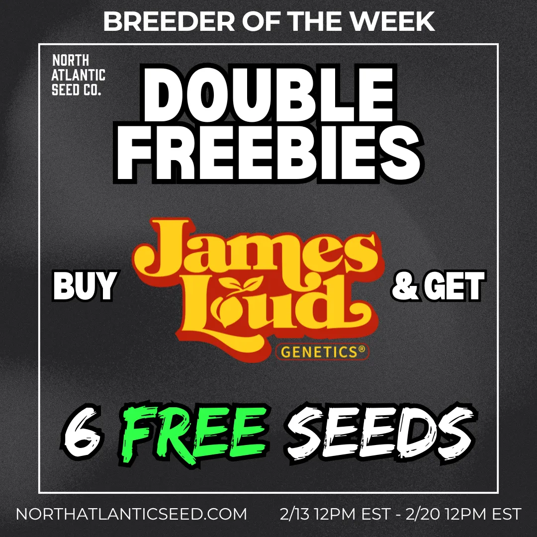 James Loud Genetics cannabis seeds