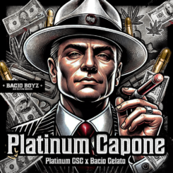 Elev8 Seeds > Platinum Capone