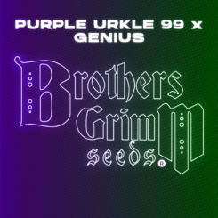 Brother's Grimm > Purple Urkle 99 x Genius