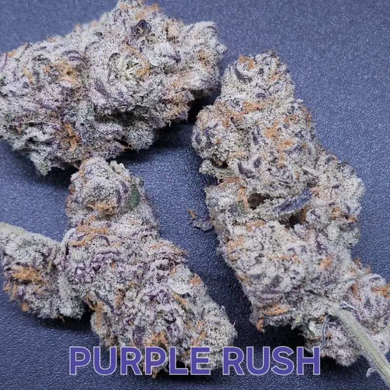 purple rush by in house genetics