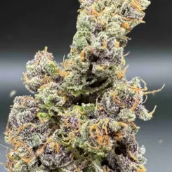 Purple Caper Seeds > Alpha Skunk #45 S1 Cannabis Seeds