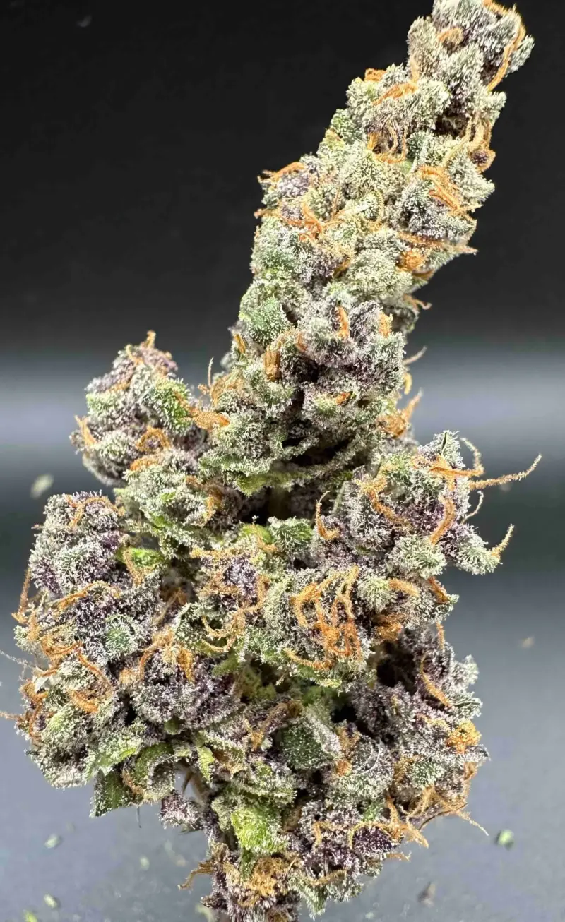 Purple Caper Seeds > Alpha Skunk #45 S1 Cannabis Seeds