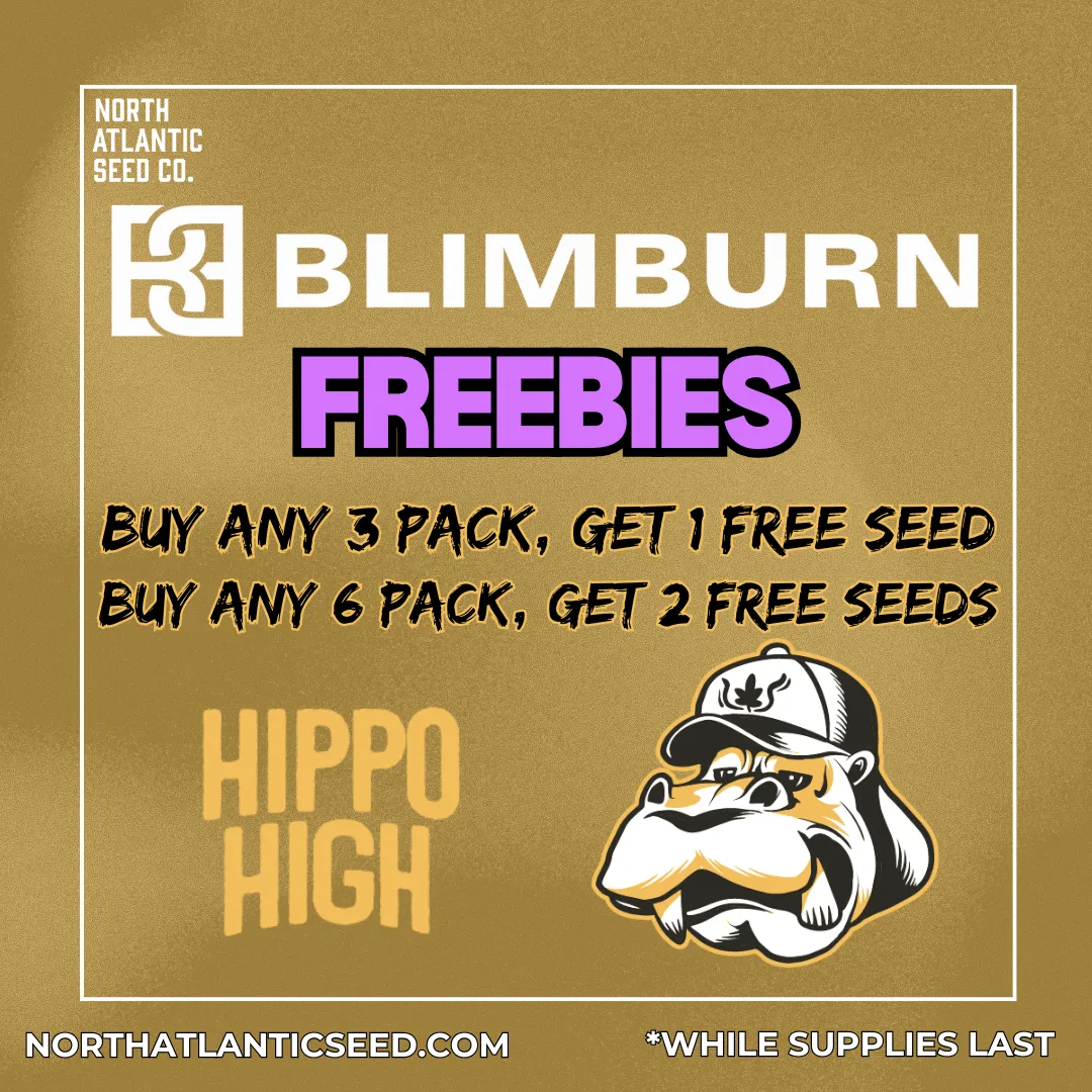 Blimburn cannabis seeds