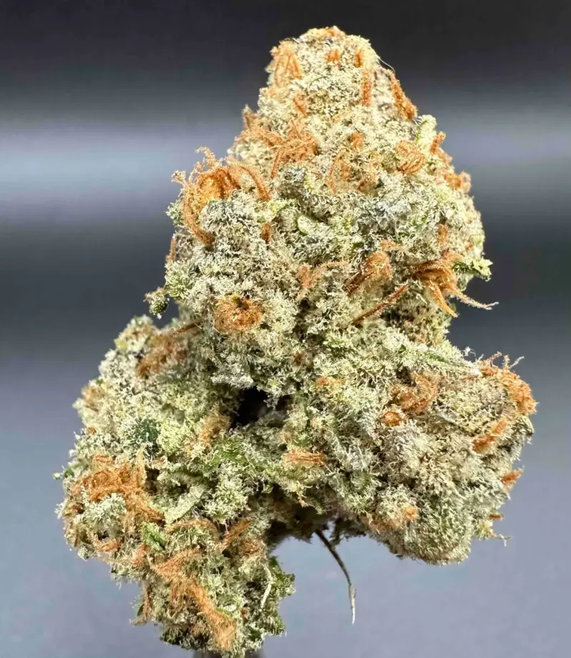 Purple Caper Seeds > Durban Skunk Cannabis Seeds