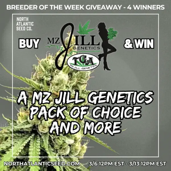 MZ Jill Genetics's promotional image